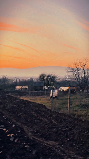    Ofertă Specială - Casă La Roșu De Vânzare În CIUGUD, ALBA!    - imagine 6