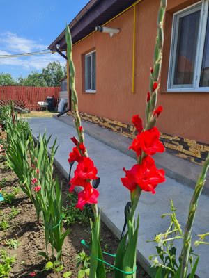 Vand casa la cheie in Judetul Buzau - imagine 3