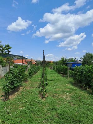 Casa de vanzare ,localitatea Seica Mare,jud Sibiu - imagine 7