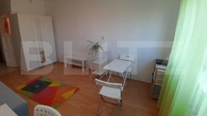 Garsoniera, 22 mp, pet friendly, recent renovata, zona strazii Migdalului - imagine 2