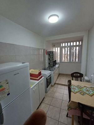 Inchiriere apartament 2 camere Potcoava - imagine 6