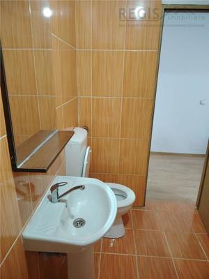 Apartament 2 camere zona Faget, mobilat - imagine 13