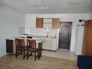 Apartament 2 camere zona Faget, mobilat - imagine 3