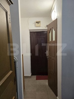 Apartament, 1 camera, 24mp, Ostrovului - imagine 2