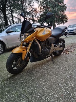 Honda Hornet 600,2008,PC 41 - imagine 2