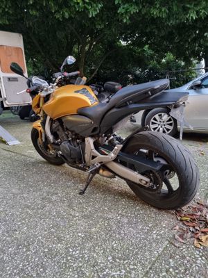 Honda Hornet 600,2008,PC 41 - imagine 5