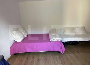 Casă cu 3 camere, 1 bucătărie, 1 baie, 1 pivniță, grădină Teius. - imagine 9