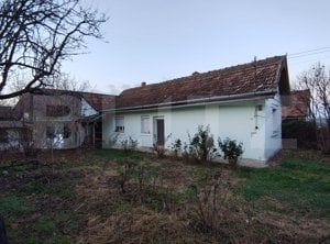 Casa de vanzare, 3 camere, 70 mp, in Cetariu - imagine 2