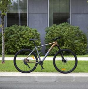 Bicicleta MTB Pegas 29