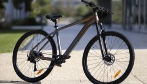 Bicicleta MTB Pegas 29 - imagine 3