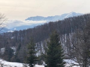 De vanzare teren extravilan Poiana Cristianului- Poiana Brasov - imagine 3