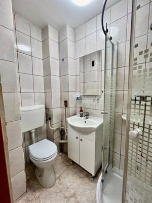 Apartament cu 2 camere, 28 mp, zona Gheorgheni-Iulius Mall - imagine 8