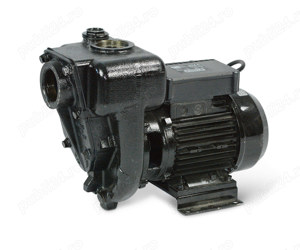 Pompa transfer motorina E300 220V - imagine 2