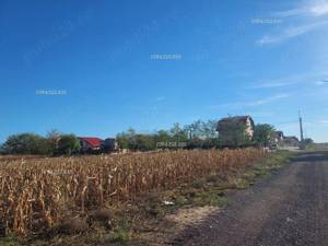 TERENURI - loturi in RATE langa Bucuresti comuna Berceni Ilfov - imagine 2