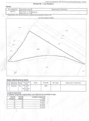 Teren de 5730 mp lângă Deva   Oază de Liniște și Natură - imagine 4