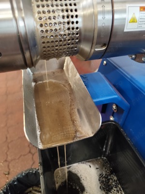 Presa ulei floarea soarelui 3.1kw - imagine 4