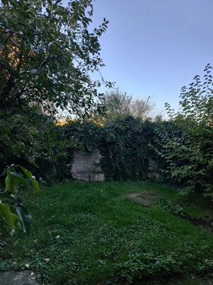 Casa de Inchiriat in Baia Mare zona linistita cu 8 ari teren