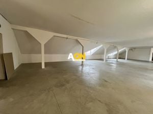 Spațiu Comercial, 400mp Nivel, Cetate - imagine 5