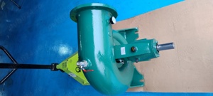 Pompa la motor Caprari BHR 250 A debit mare - imagine 3