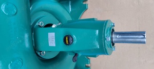 Pompa la motor Caprari BHR 250 A debit mare - imagine 4