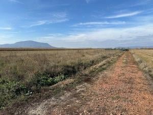 Teren intravilan Stupini, strada Lujerului - Bârsei - imagine 7