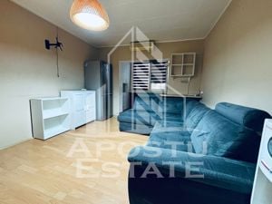 Apartament cu 3 camere, zona Aradului, PET FRIENDLY - imagine 5