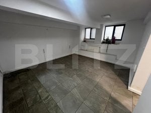 Spatiu comercial, 5 camere, 100mp, zona-Bd. Take Ionescu - imagine 7