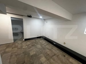 Spatiu comercial, 5 camere, 100mp, zona-Bd. Take Ionescu - imagine 6