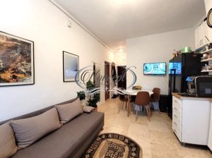 Apartament la cheie in Gruia - imagine 5