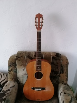 Hofner acustic germani