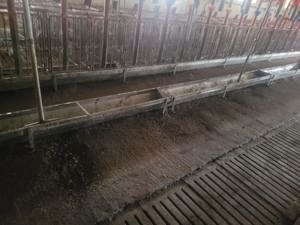 Vand valau inox pentru porci - imagine 2