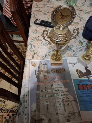 Porumbei trippler englez - imagine 5 Porumbei trippler englez - imagine 5