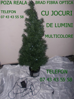 Brad 1,2m Fibra optica albastra + Suport + alimentator 99Lei Costum MOS CRACIUN adult,complet 29Lei