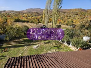 Vânzare pensiune D+P+M în Com. Runcu, sat Dobrița - zonă turistică - imagine 8