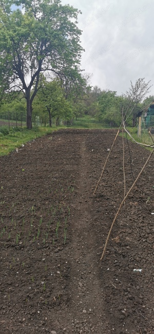 Casă de vânzare în Silvașu de Sus  - imagine 6