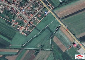 Teren extravilan 3,56 hectare in Dorolt ( ID 22873) - imagine 4