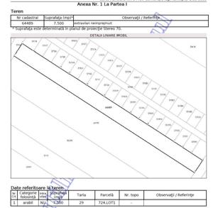 Teren Victor Dumitrescu-Dobroesti - imagine 4