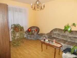 Vila, Timisoara, zona Bucovina, P+E+M, 6 dormitoare + anexa cu ap cu 2 cam, 470mp teren - imagine 10