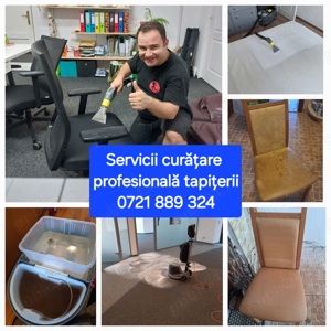 Curățare profesională tapițerii la domiciliu