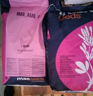 samanta lucerna import Franta, MAISADOUR - soiul MAS ALFA 4 - imagine 2