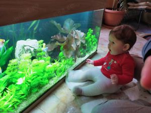 Acvarii personalizate - imagine 2