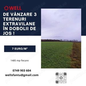 De vânzare 3 terenuri extravilane în Dobolii de Jos !