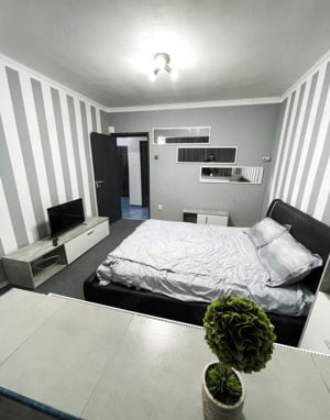 apartament cu 2 camere de inchiriat pet Friendly in circumvalatiuni - imagine 2