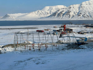 Cort de depozitare tip casa cu structura dubla - 18m x 36m - imagine 2