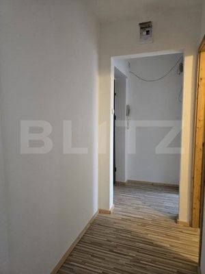 Apartament de vanzare cu 3 camere, 44 mp, zona Solidaritatii - imagine 8