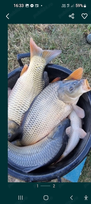 vind peste de consum si de populare - imagine 2