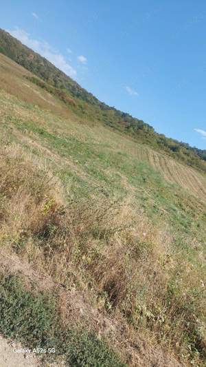 Vând teren intravilan in Panic Salaj