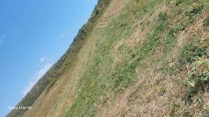 Vând teren intravilan in Panic Salaj  - imagine 4