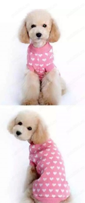 Vând pulover căței - imagine 2