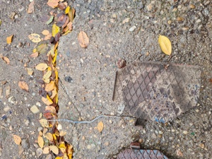 Pod   planseu pedalier tractor Fiat 300 - imagine 5